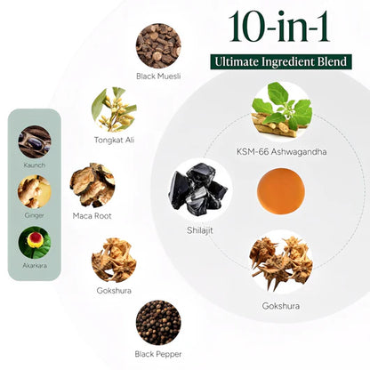 10-in-1 Alpha Gummies